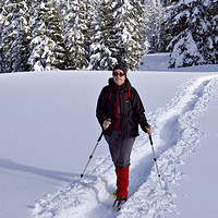 Snowshoe trail.jpg