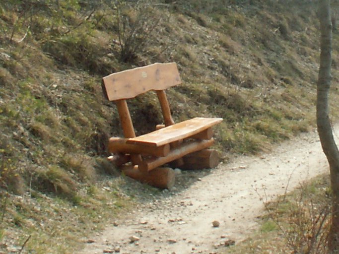 File:Path with bench.jpg