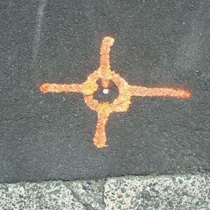 A pin in the surface of a road, used as a geodetic survey marker
