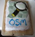 London 8th OSM Birthday Cake.JPG